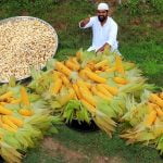 [ID: 6i8vBOYULOA] Youtube Automatic
