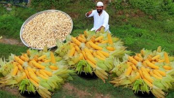 [ID: 6i8vBOYULOA] Youtube Automatic