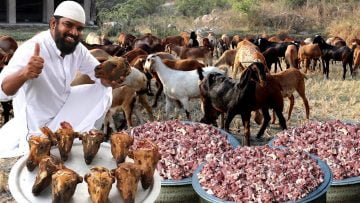 [ID: aLTA5Ln42yc] Youtube Automatic