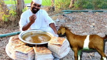 [ID: -Cmdh9ZxDrs] Youtube Automatic