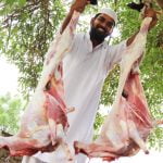 [ID: Fg65qukhtqA] Youtube Automatic