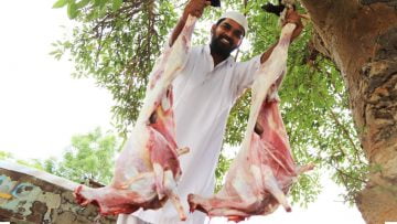 [ID: Fg65qukhtqA] Youtube Automatic