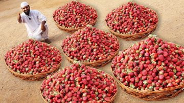 [ID: gYPXvGV2vDA] Youtube Automatic