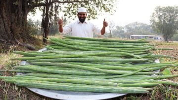 [ID: kMKs_iaVTn0] Youtube Automatic