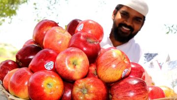 [ID: mMG7wSMVuWc] Youtube Automatic