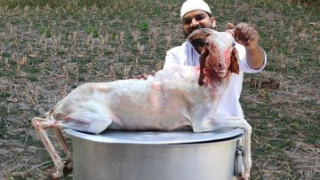 [ID: oaaNaEB7zm4] Youtube Automatic