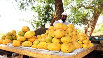 [ID: -sMEAbsNlSo] Youtube Automatic