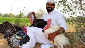 [ID: S_mmjIZcPsA] Youtube Automatic