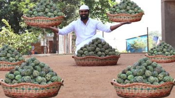 [ID: TNLvwwmL9hY] Youtube Automatic