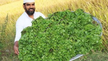 [ID: VFyz0uW_1r4] Youtube Automatic