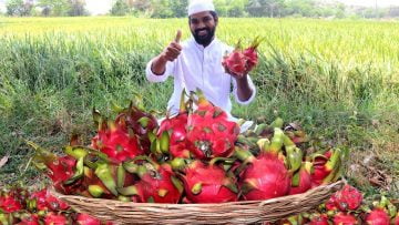 [ID: WKGbdYTWaQo] Youtube Automatic