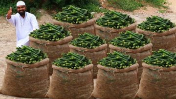 [ID: _xSC2IYnyB8] Youtube Automatic