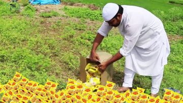 [ID: xykHq-wcT1g] Youtube Automatic