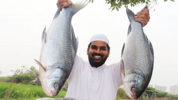 [ID: Z5jtzbxhwk8] Youtube Automatic