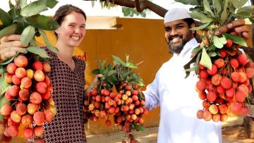 [ID: zf2qayEEwnA] Youtube Automatic