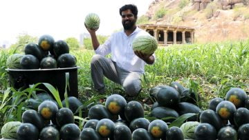 [ID: AhqZIgcZelo] Youtube Automatic