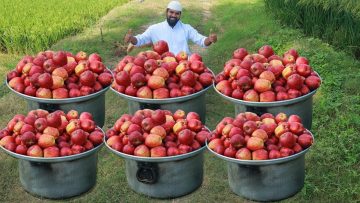 [ID: EsoYz6Fc4bw] Youtube Automatic