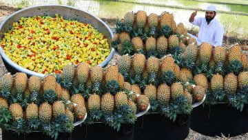 [ID: ojg8dM3Nxmk] Youtube Automatic