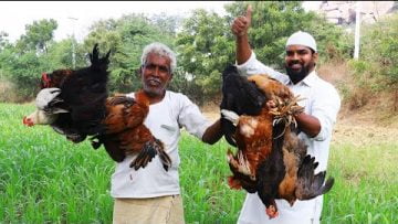 [ID: Pv5l3ARWmQo] Youtube Automatic