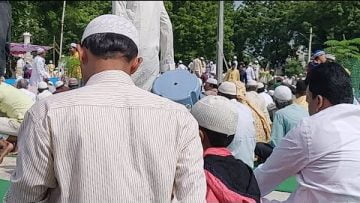 [ID: pX_JZrBYhNs] Youtube Automatic