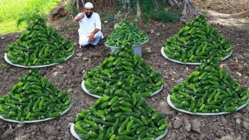 [ID: U8m6BrLRmfE] Youtube Automatic