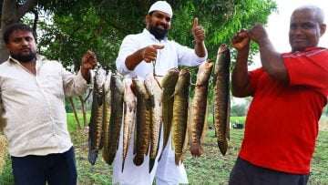 [ID: WQuK3liTyok] Youtube Automatic