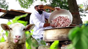 Private: [ID: 8Bpd97fQojw] Youtube Automatic