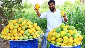 [ID: 0-1F28kkqvs] Youtube Automatic