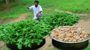 Private: [ID: PodZeHRcsro] Youtube Automatic