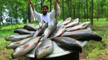 Private: [ID: TD4jfrVnMEI] Youtube Automatic