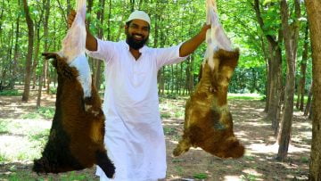 Private: [ID: _ydgRvoDh1E] Youtube Automatic