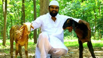 Private: [ID: y_FzgP6J5A8] Youtube Automatic