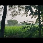 [ID: ARUSepjRvNM] Youtube Automatic