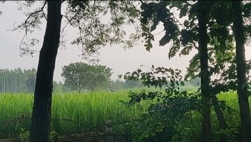 [ID: ARUSepjRvNM] Youtube Automatic