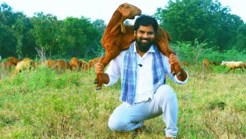 Private: [ID: RvwF8siecTw] Youtube Automatic