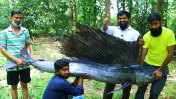 Private: [ID: SXk5V6guBVA] Youtube Automatic