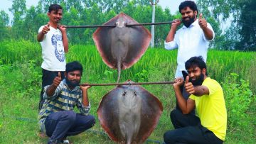 Private: [ID: ZxFYamABTjA] Youtube Automatic