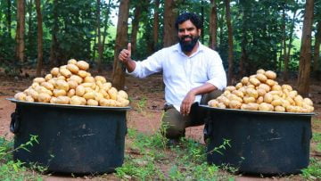 Private: [ID: jK7bgzCbowQ] Youtube Automatic