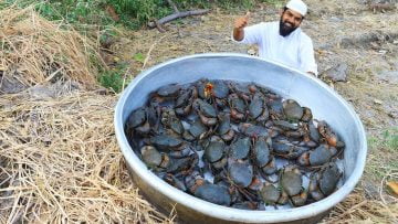 Private: [ID: UdDptdojp_M] Youtube Automatic