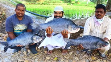 Private: [ID: zZ20na6_Pkw] Youtube Automatic