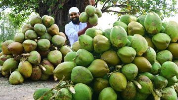 Private: [ID: JOuI1apzkdI] Youtube Automatic