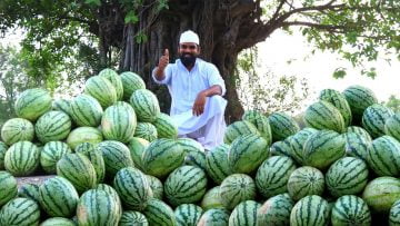 Private: [ID: Yhn6j4DR7yo] Youtube Automatic