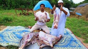 Private: [ID: aIM-0u9YoHE] Youtube Automatic