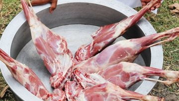 Private: [ID: lVmjy7cm5vA] Youtube Automatic