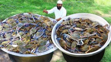 Private: [ID: 97S2lhseHbw] Youtube Automatic