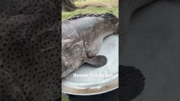 Private: [ID: oxwI9aFHikI] Youtube Automatic