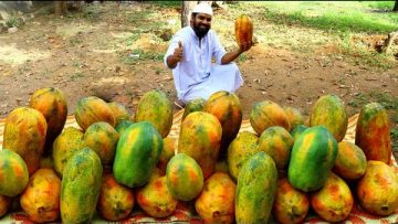 Private: [ID: NboliJlR9pw] Youtube Automatic