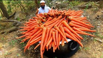 Private: [ID: nHjgJZO1jVY] Youtube Automatic