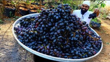 Private: [ID: 249N5Jjo4rU] Youtube Automatic