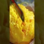 Private: [ID: dBMUbOjr_GI] Youtube Automatic